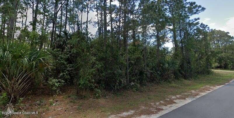 0.23 Acres of Land for Sale in Palm Bay, Florida