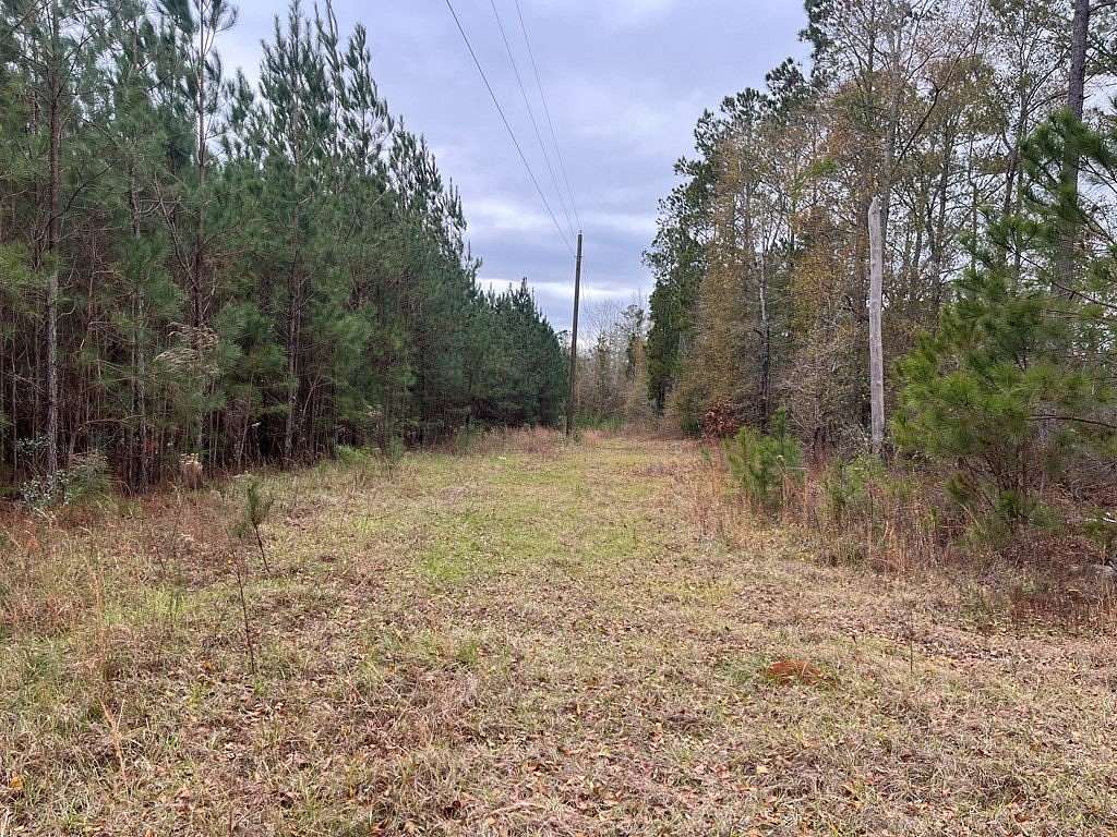 158 Acres of Recreational Land for Sale in Abbeville, Alabama