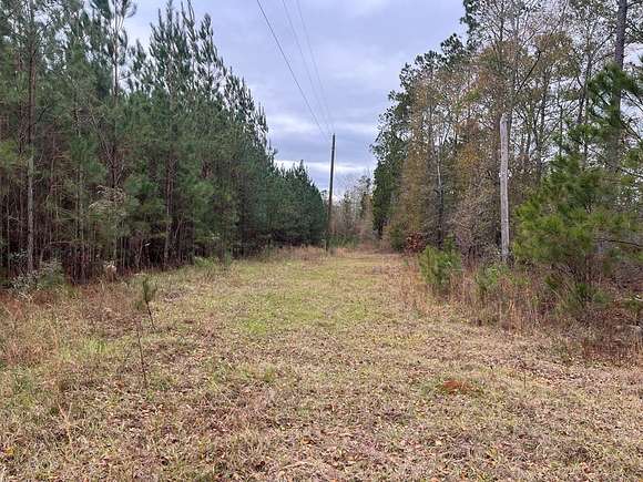 158 Acres of Recreational Land for Sale in Abbeville, Alabama