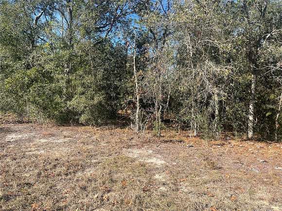 0.23 Acres of Residential Land for Sale in Williston, Florida