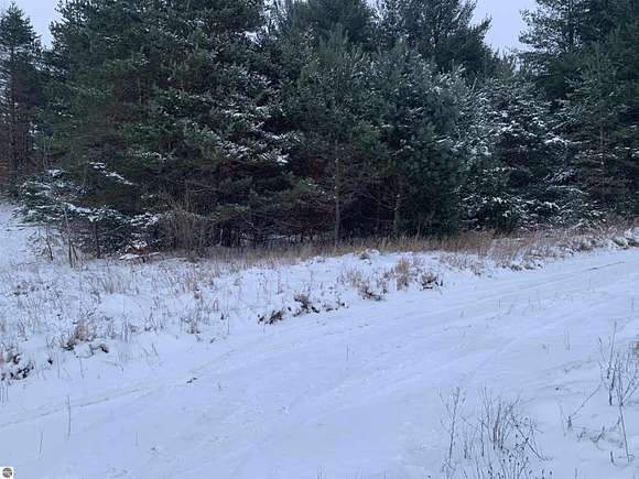 40 Acres of Recreational Land for Sale in Lake City, Michigan