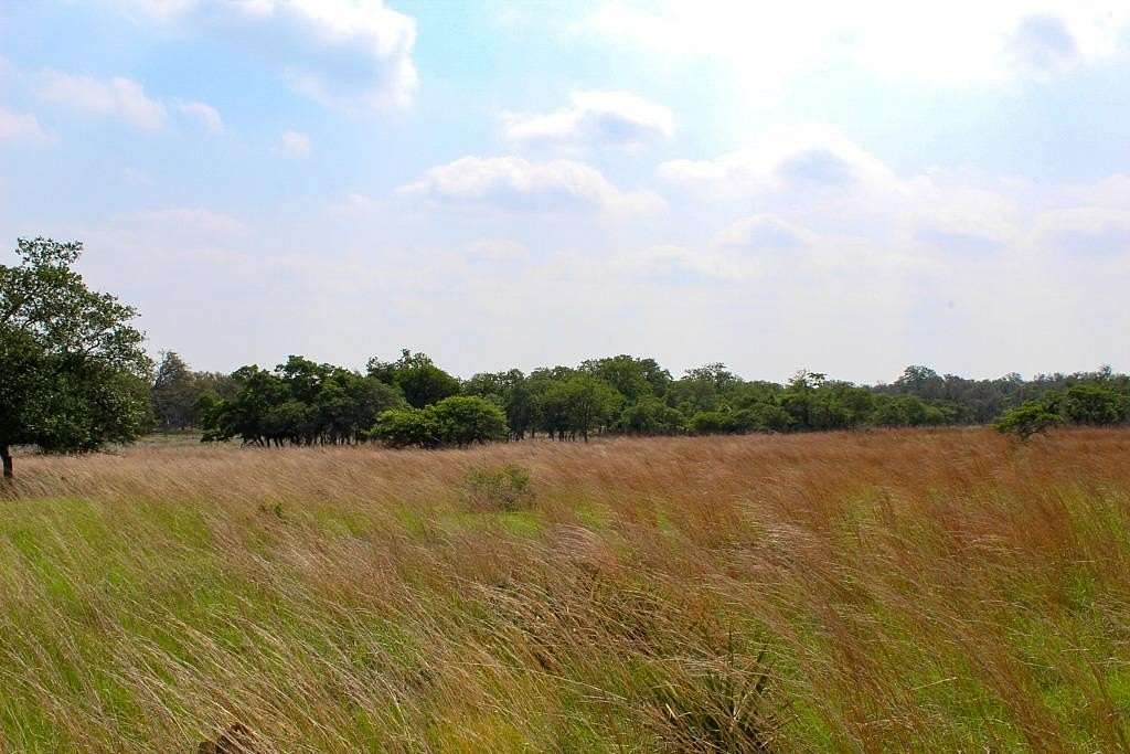 5.1 Acres of Residential Land for Sale in Harper, Texas