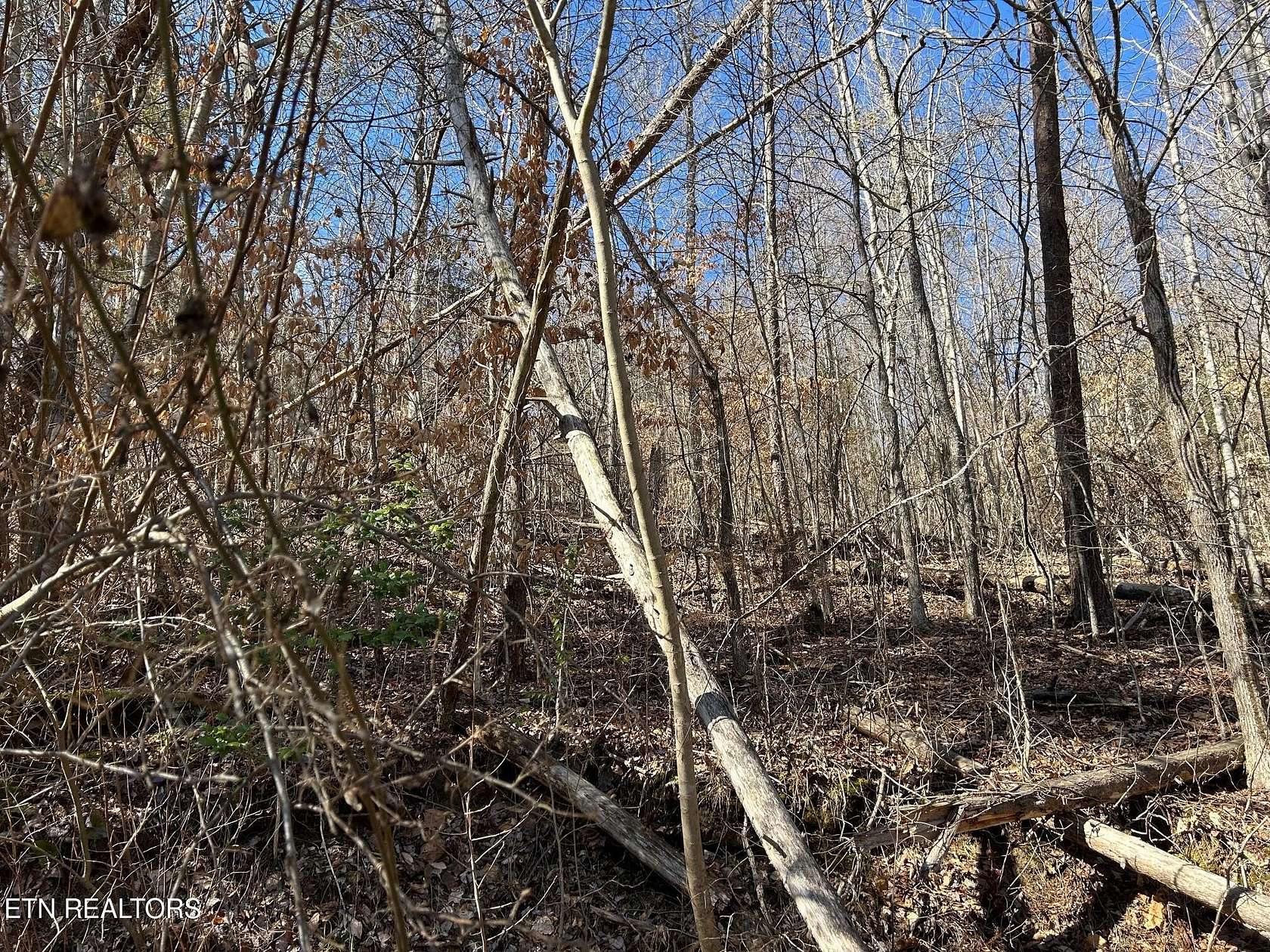 11.9 Acres of Land for Sale in Caryville, Tennessee