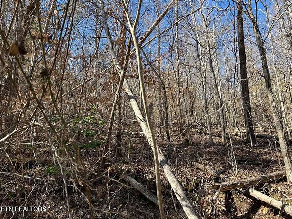 11.9 Acres of Land for Sale in Caryville, Tennessee