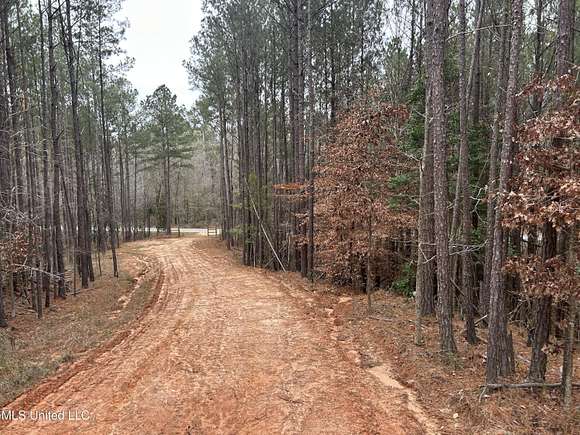 10 Acres of Residential Land for Sale in Pelahatchie, Mississippi