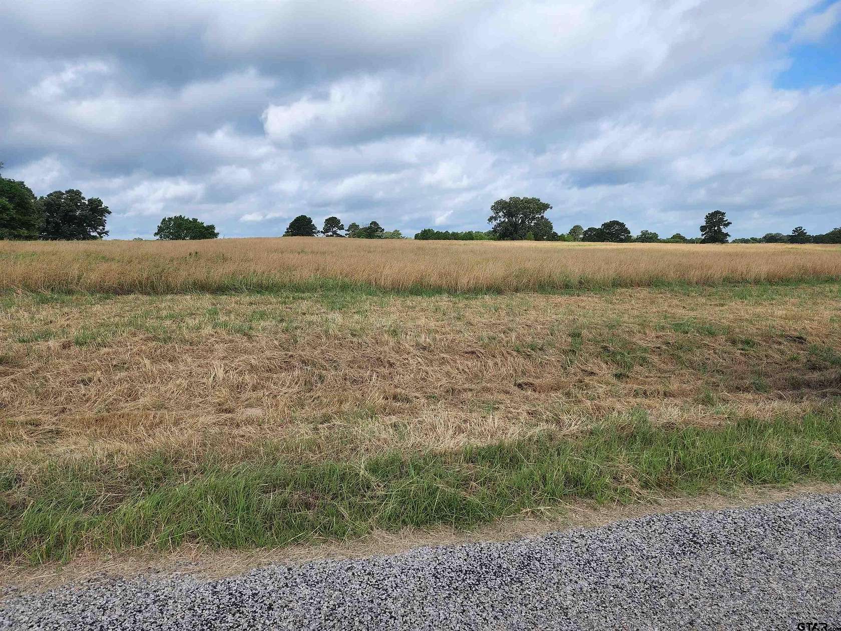 2.59 Acres of Residential Land for Sale in Pittsburg, Texas