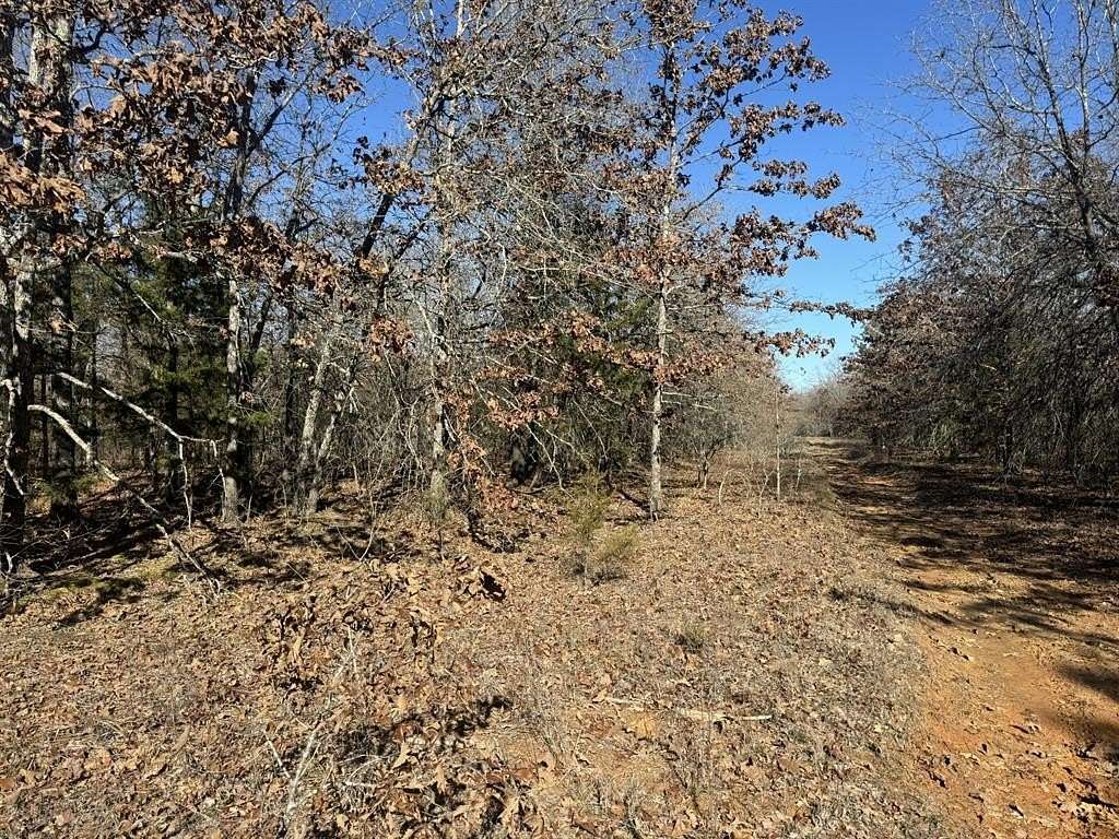 5.12 Acres of Land for Sale in Blossom, Texas