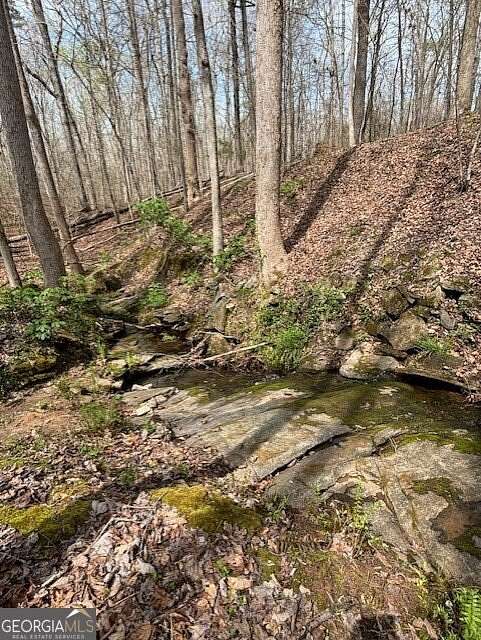 13 Acres of Land for Sale in Stockbridge, Georgia