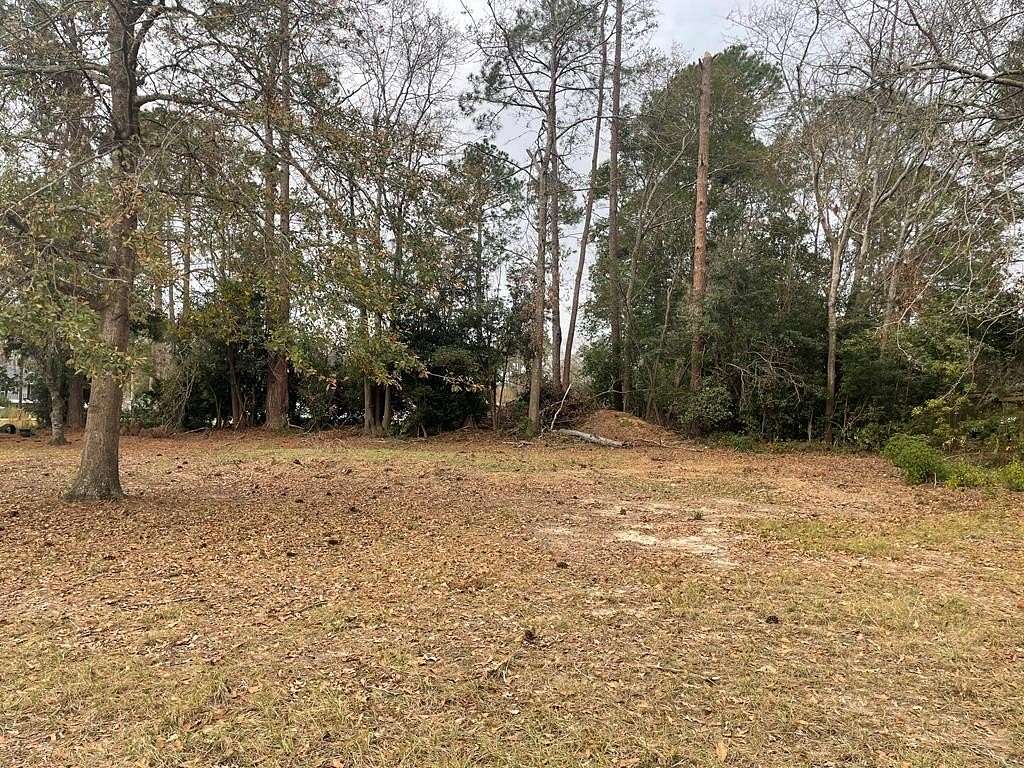 0.2 Acres of Residential Land for Sale in Claxton, Georgia