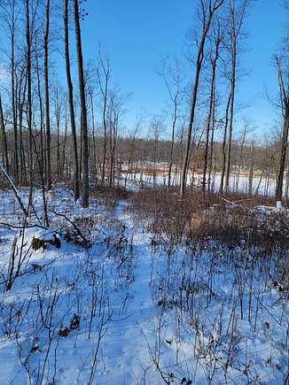 25.39 Acres of Recreational Land for Sale in Stone Lake, Wisconsin