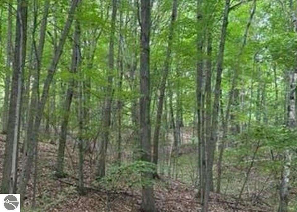 2 Acres of Land for Sale in Lake Isabella, Michigan