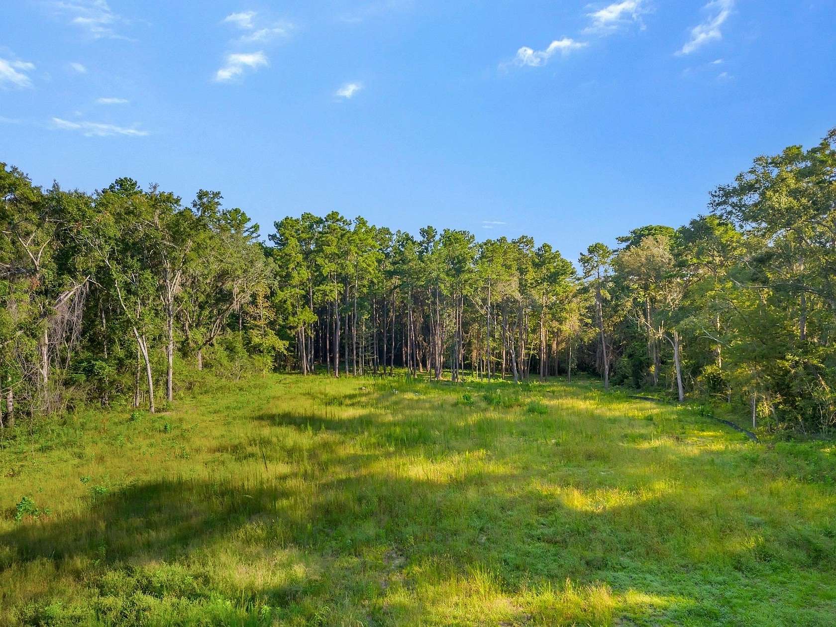 3.1 Acres of Residential Land for Sale in Tallahassee, Florida