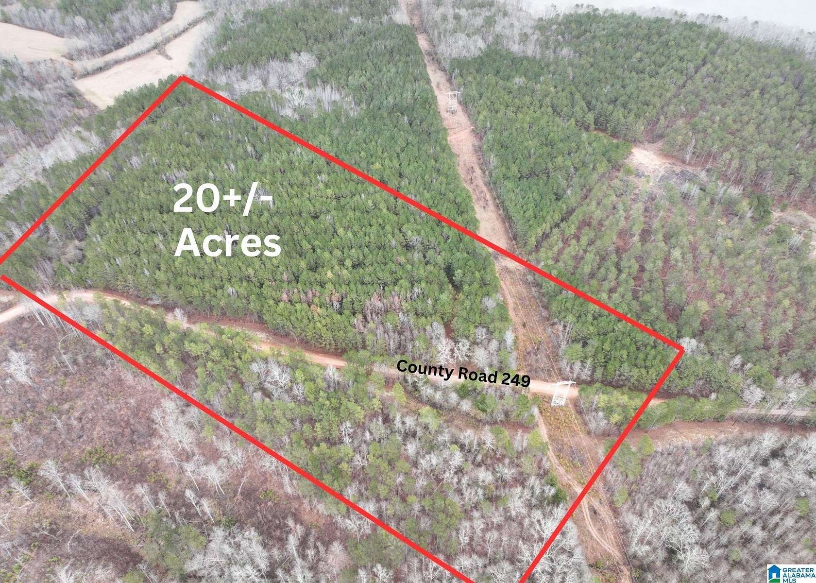 20 Acres of Recreational Land for Sale in Wedowee, Alabama