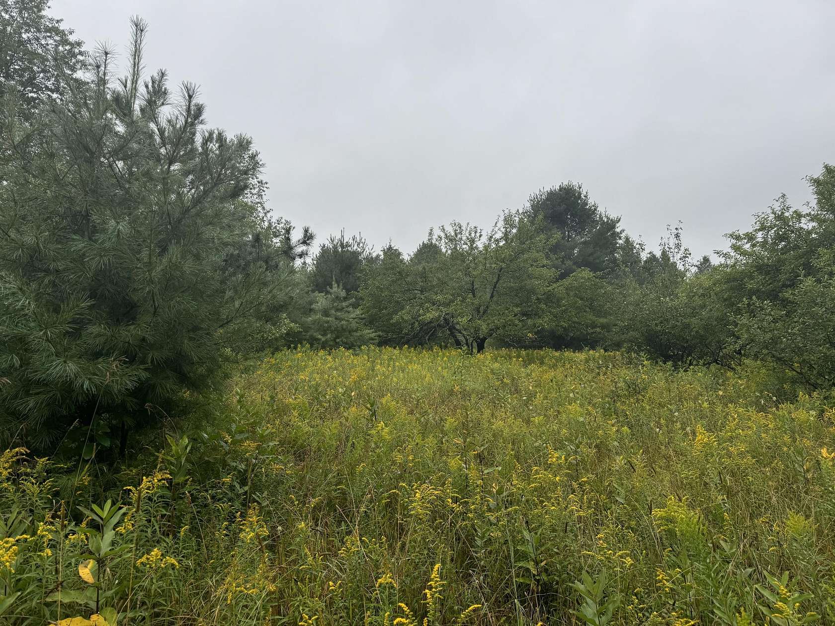 Residential Land for Sale in Germfask, Michigan