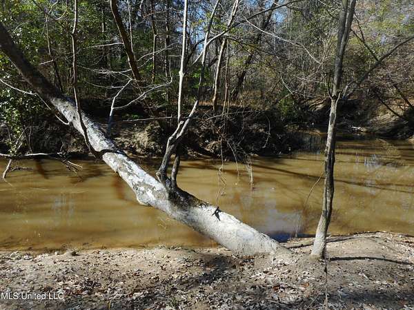 220 Acres of Recreational Land for Sale in Brandon, Mississippi