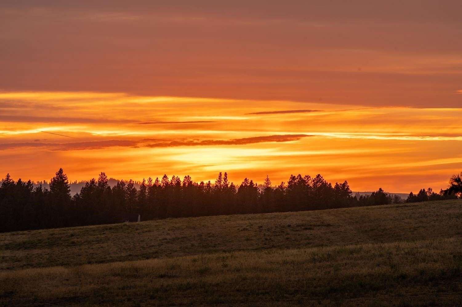 20 Acres of Agricultural Land for Sale in Spokane, Washington