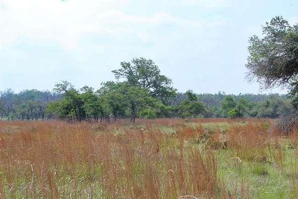 5 Acres of Land for Sale in Harper, Texas
