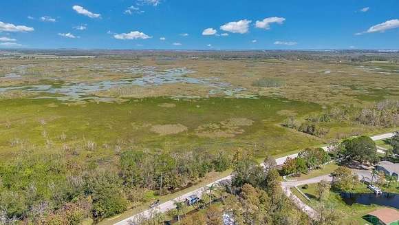 37.3 Acres of Agricultural Land for Sale in Haines City, Florida