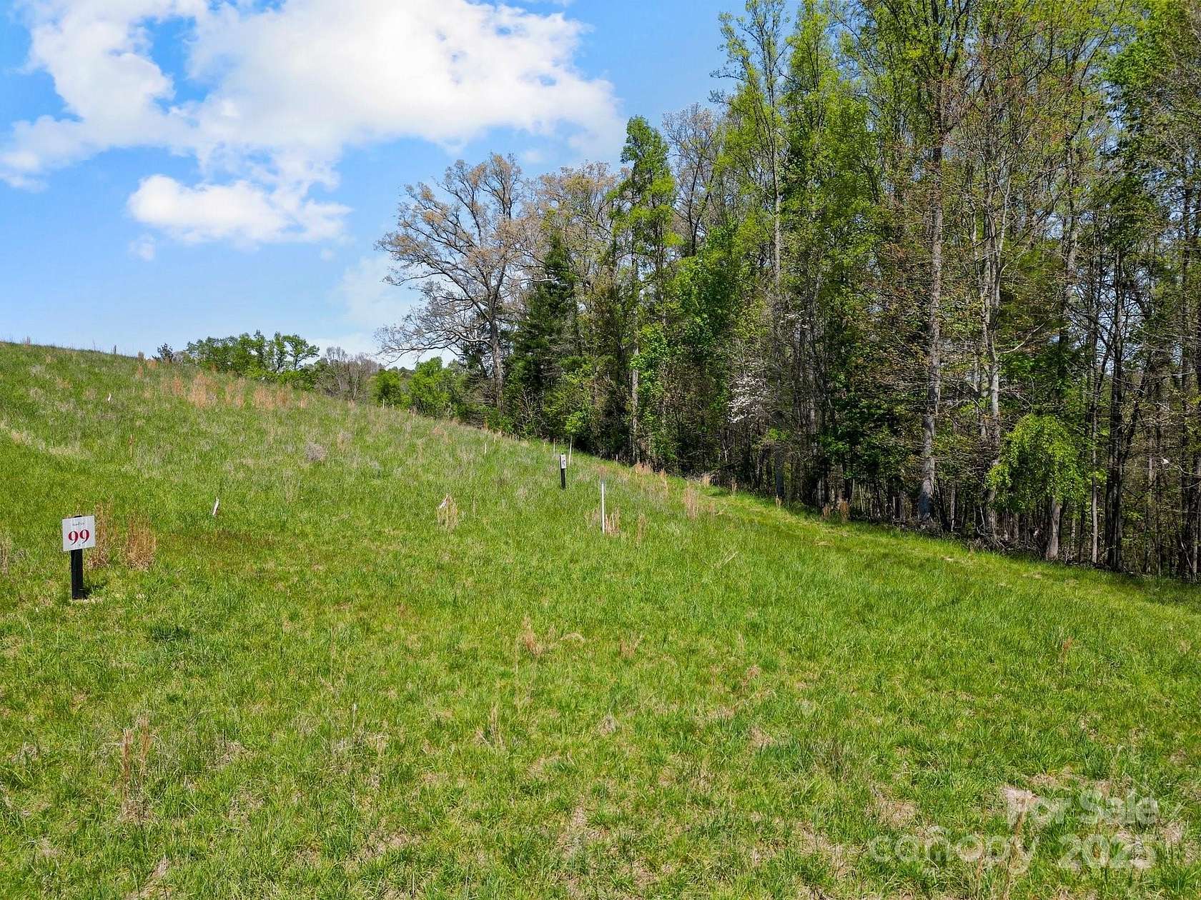 1.65 Acres of Land for Sale in Asheville, North Carolina