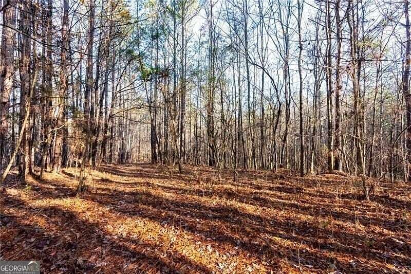 29 Acres of Recreational Land for Sale in White, Georgia