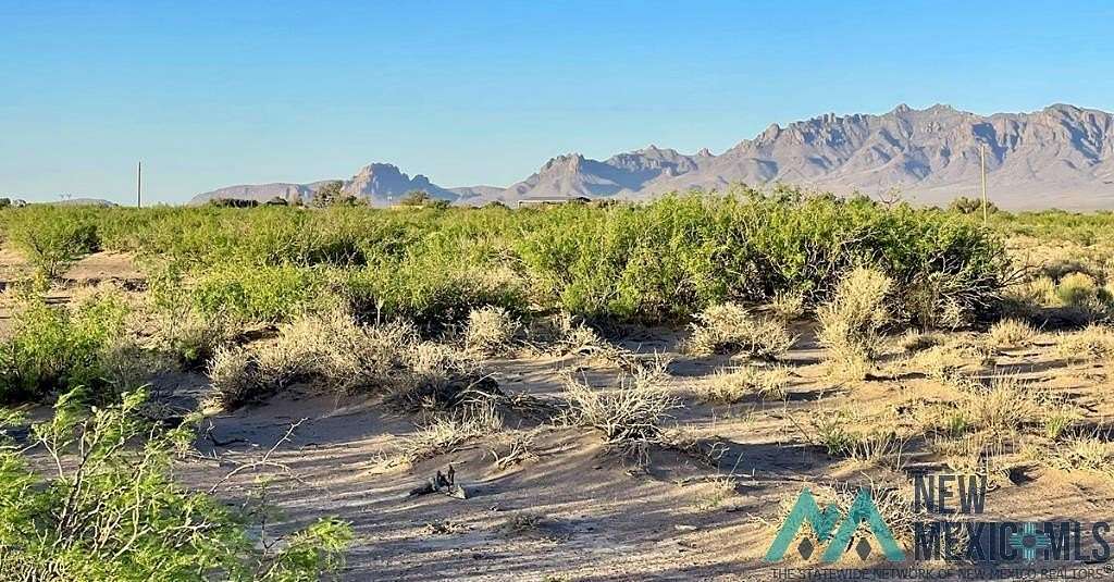 1 Acre of Residential Land for Sale in Deming, New Mexico