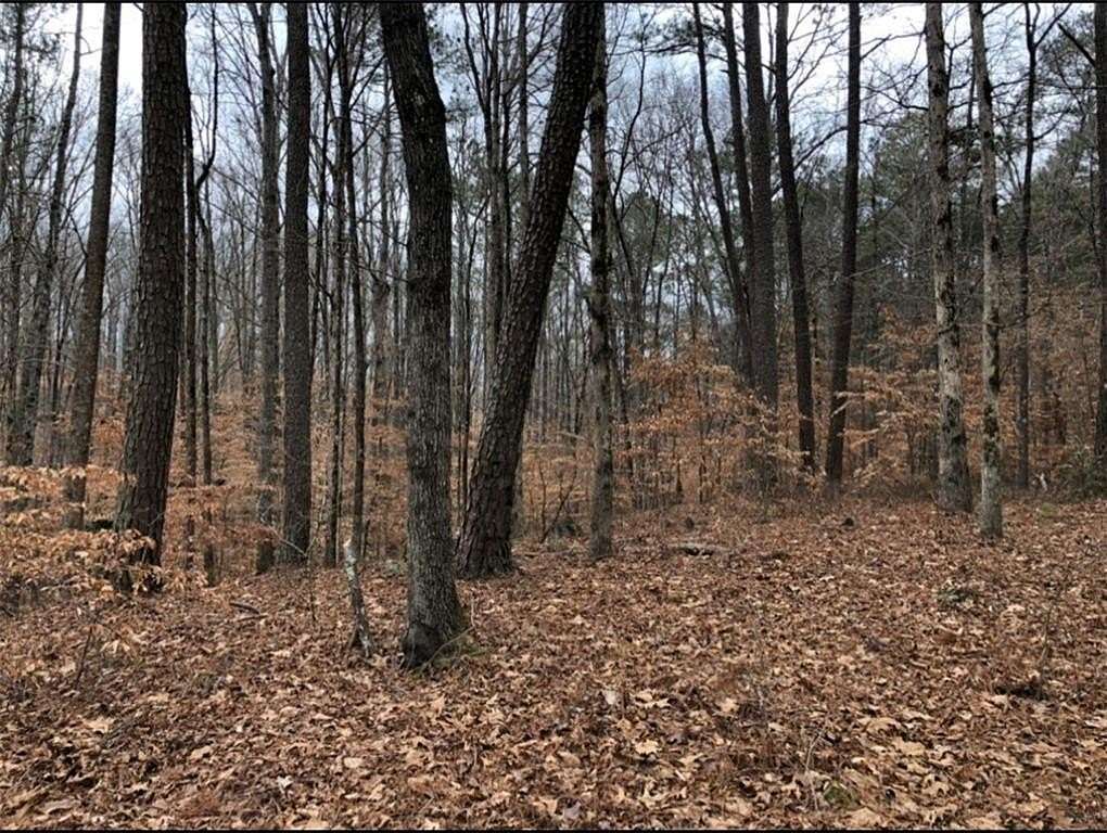 17.4 Acres of Land for Sale in Alpharetta, Georgia