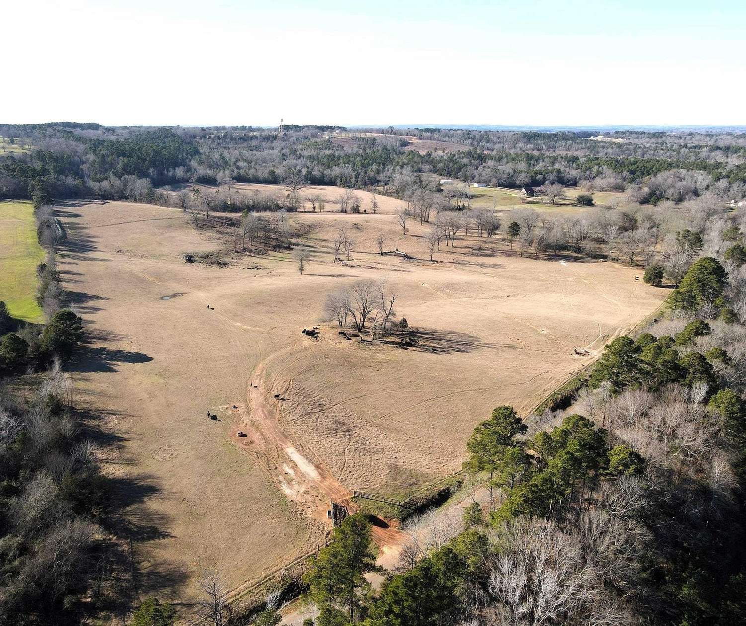 61.18 Acres of Land for Sale in Jacksonville, Texas