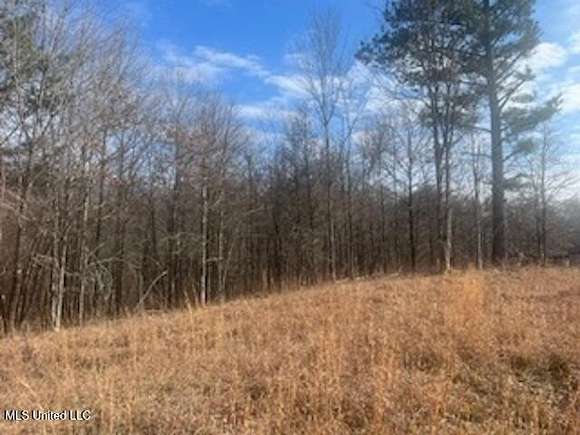 29.19 Acres of Land for Sale in Byhalia, Mississippi