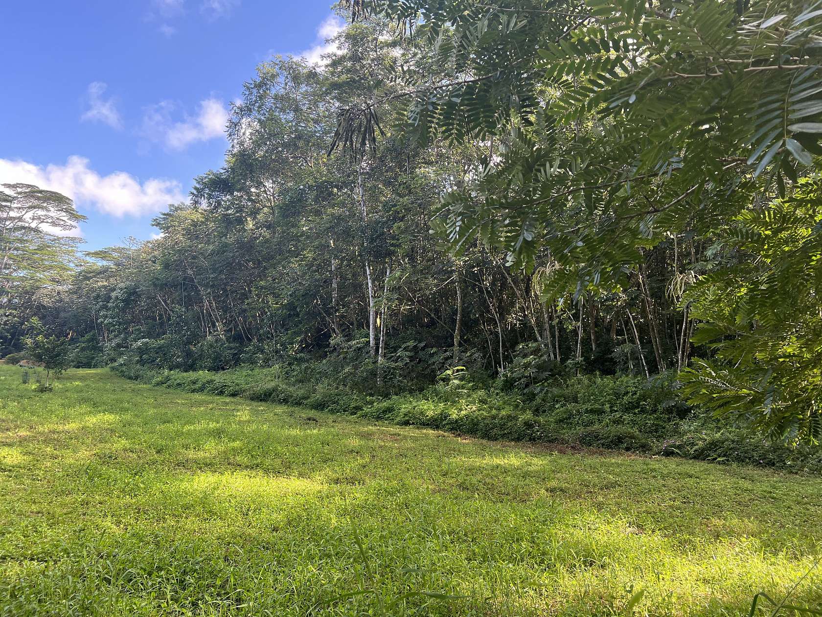 8.356 Acres of Land for Sale in Pahoa, Hawaii