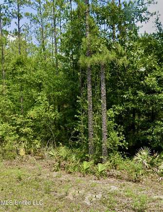 0.22 Acres of Residential Land for Sale in Lucedale, Mississippi