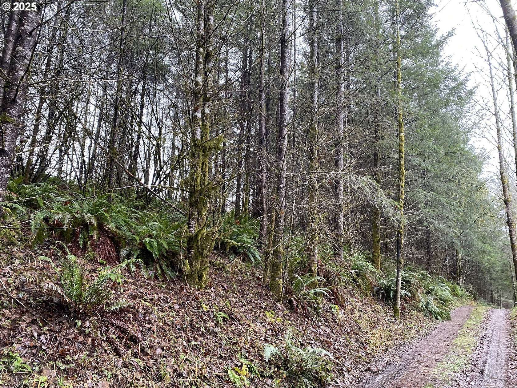 1.52 Acres of Residential Land for Sale in Woodland, Washington