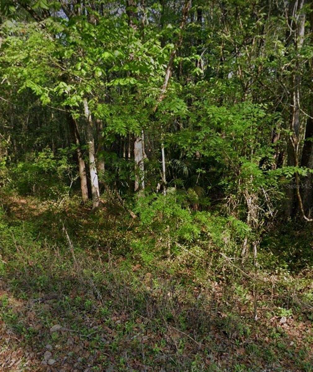 0.26 Acres of Residential Land for Sale in Ocala, Florida