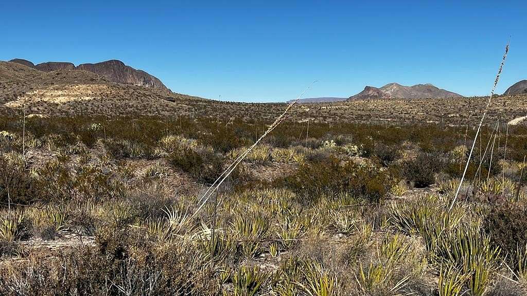 20 Acres of Recreational Land for Sale in Terlingua, Texas