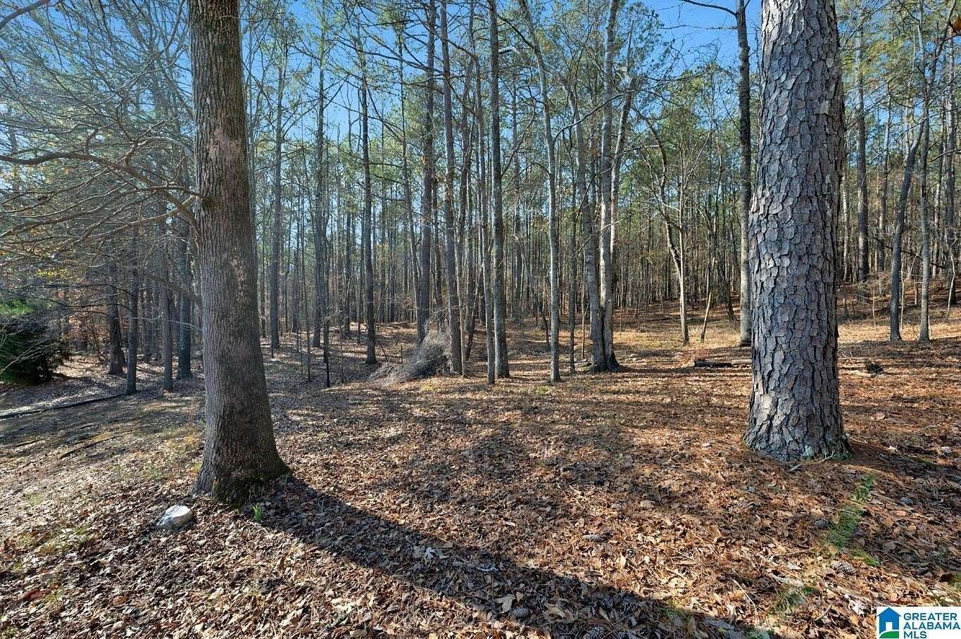 63 Acres of Land with Home for Sale in Chelsea, Alabama