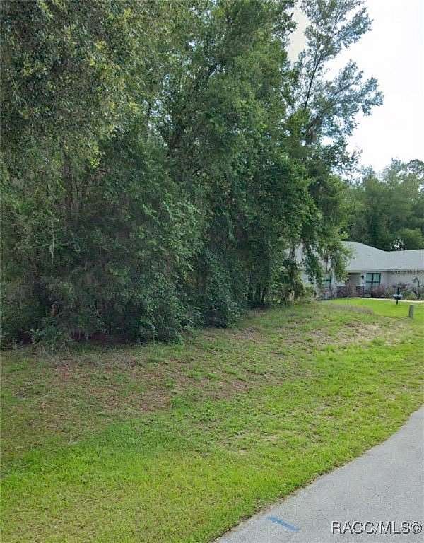 0.24 Acres of Residential Land for Sale in Hernando, Florida