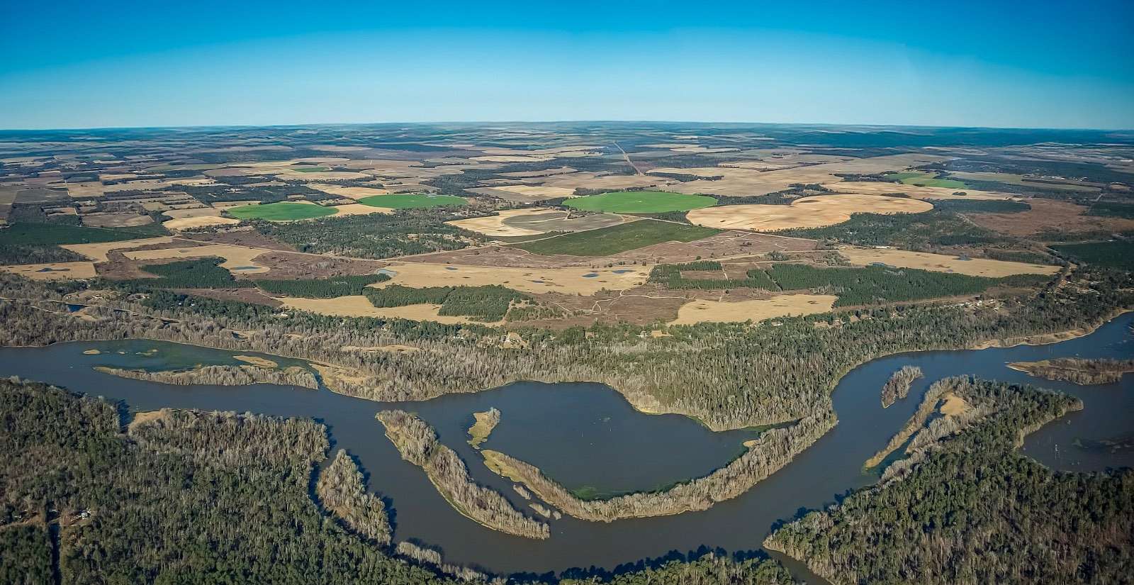 1,352 Acres of Recreational Land & Farm for Auction in Bainbridge, Georgia