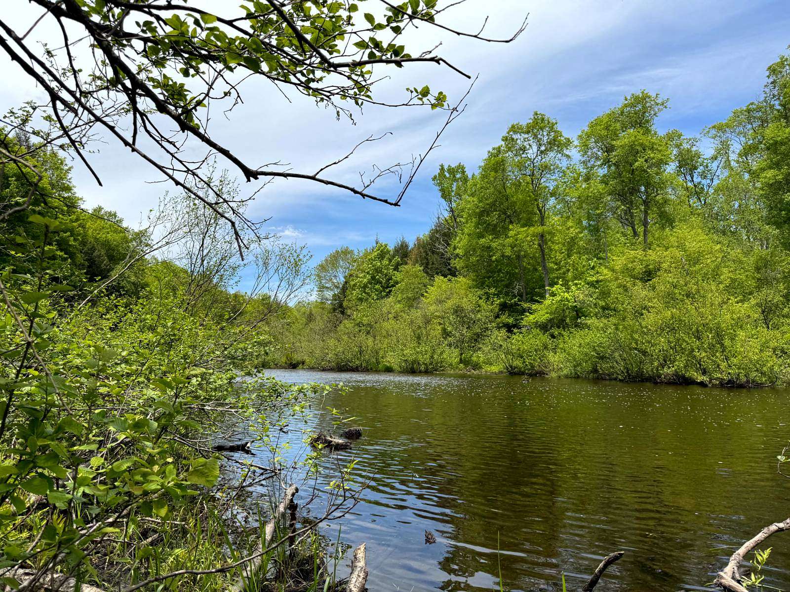 7.3 Acres of Land for Sale in Florence, New York