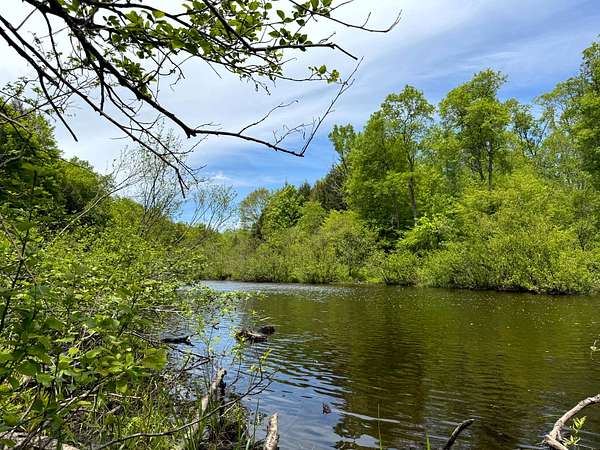 7.3 Acres of Land for Sale in Florence, New York