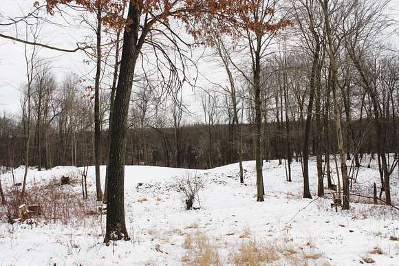 20.02 Acres of Recreational Land for Sale in Middleville, Michigan