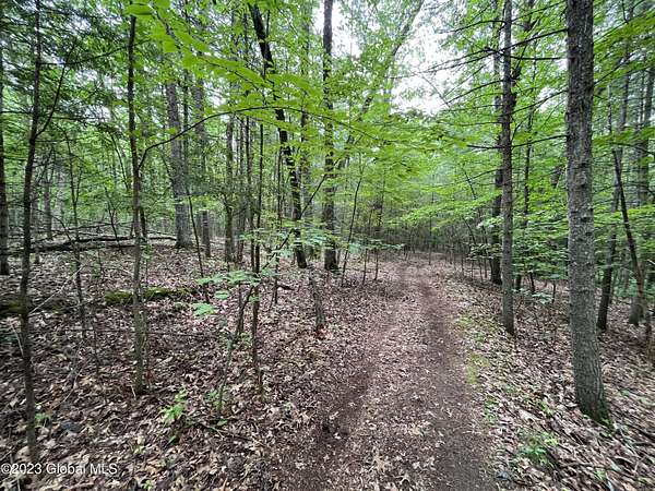 35.4 Acres of Recreational Land for Sale in Saratoga Springs, New York