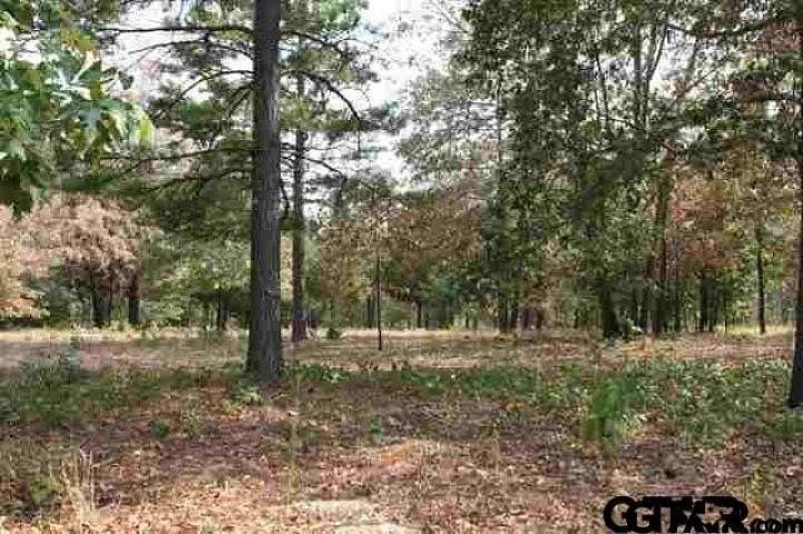 0.431 Acres of Residential Land for Sale in Tyler, Texas