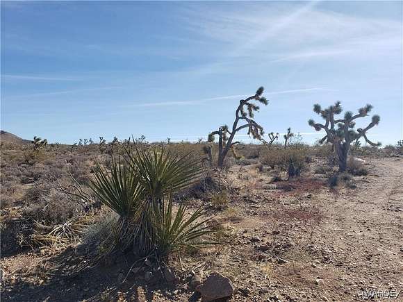 6.994 Acres of Land for Sale in White Hills, Arizona