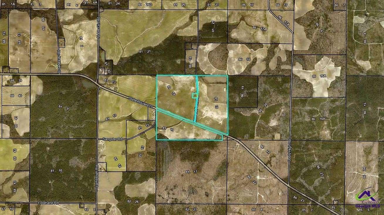 218 Acres of Agricultural Land for Sale in Vienna, Georgia