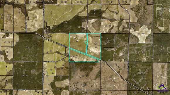 218 Acres of Agricultural Land for Sale in Vienna, Georgia