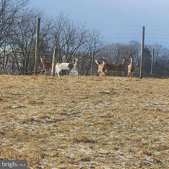 21 Acres of Agricultural Land for Sale in Lykens, Pennsylvania