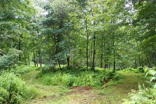 18.6 Acres of Recreational Land for Sale in Liberty Township, Pennsylvania