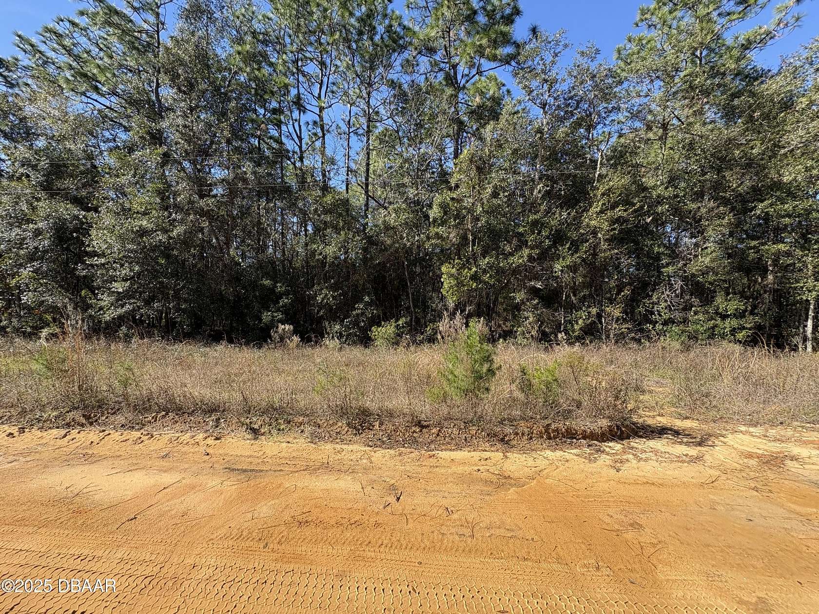 0.22 Acres of Residential Land for Sale in Interlachen, Florida