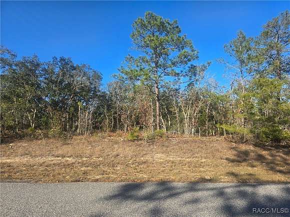 0.23 Acres of Residential Land for Sale in Dunnellon, Florida