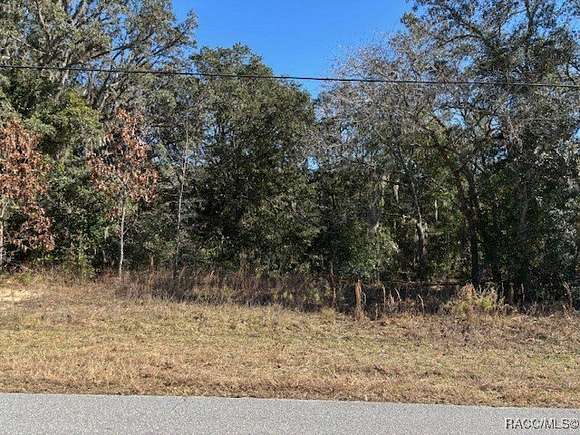 1.23 Acres of Residential Land for Sale in Hernando, Florida