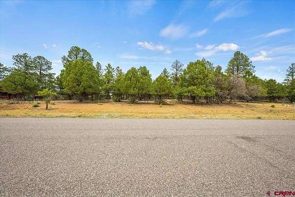 0.92 Acres of Land for Sale in Ridgway, Colorado